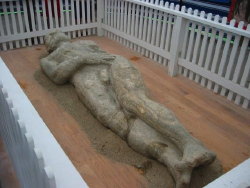 Un'immagine del falso